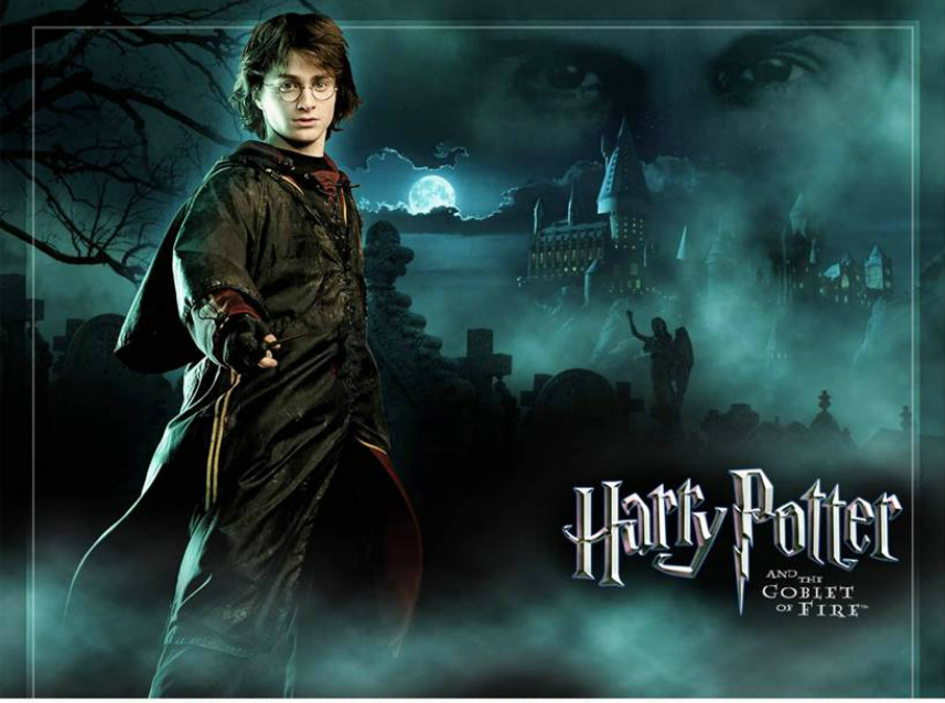 harry potter and the goblet of fire harry
